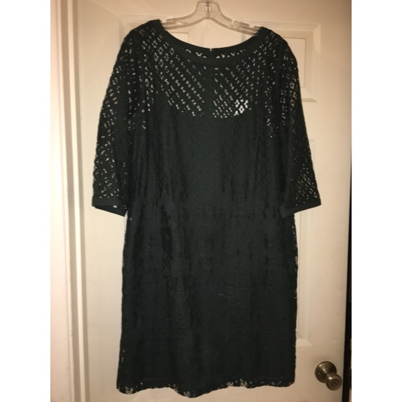 LOFT Dresses & Skirts - LOFT Diamond Lace Shift Dress - Deep Green
